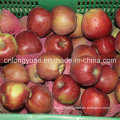 2016 New Fresh Red Star Apple with Good Quality